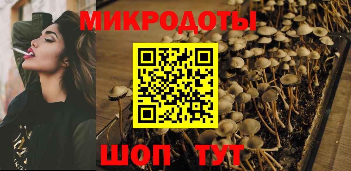 Югорск  где купить наркоту  Вход с VPN  Псилоцибиновые грибы прущие грибы 